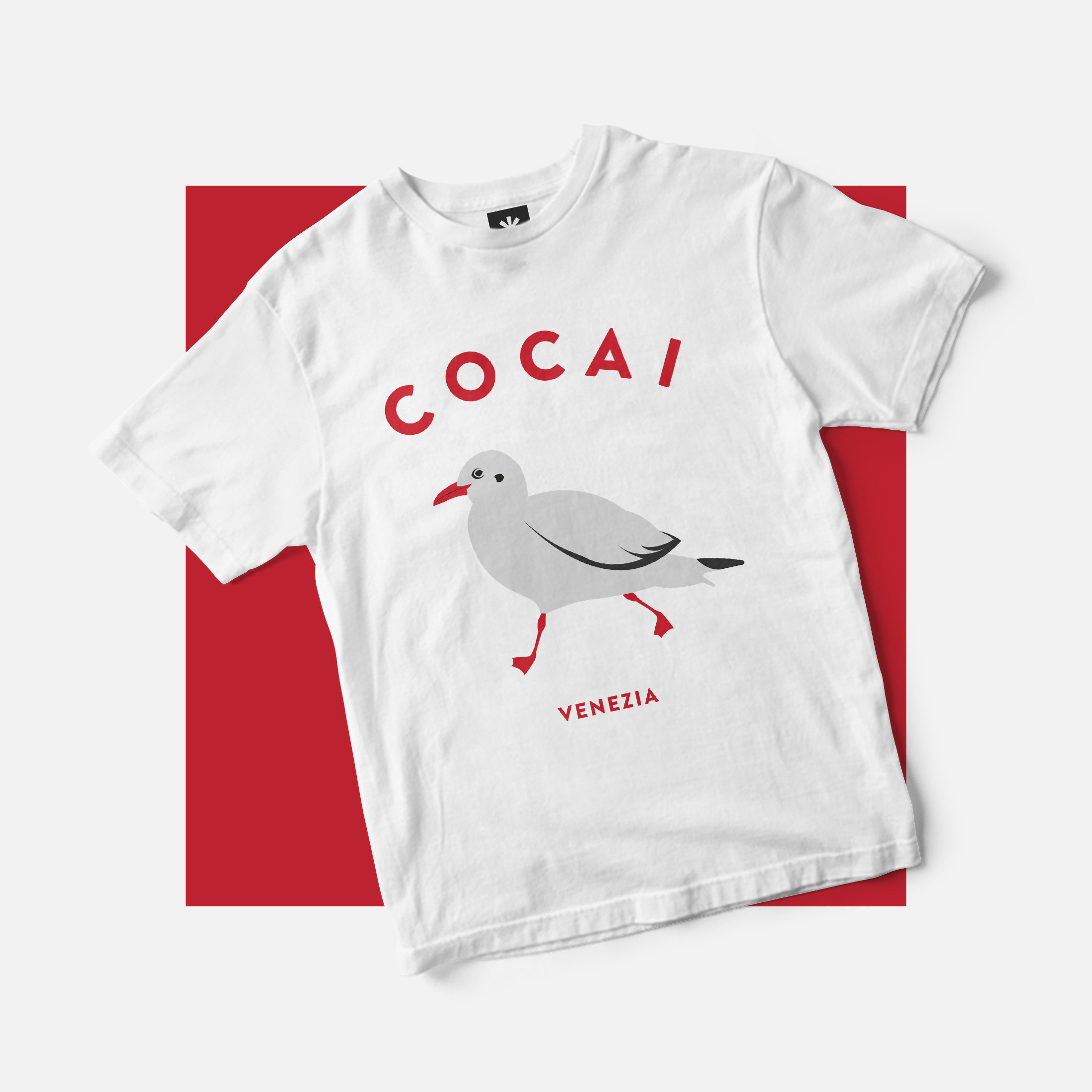 cocai-venezia-1